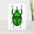 Search for cartoon bug cards Insect