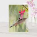 Search for fuchsias cards Garden