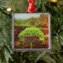 Search for aloha christmas tree decorations Maui