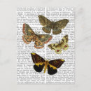 Search for moths postcards Antique