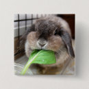 Search for vegetation badges Animals