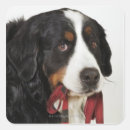 Search for body parts stickers Red