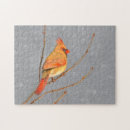 Search for cardinal bird puzzles Winter