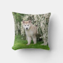Search for alaskan malamute cushions Dog