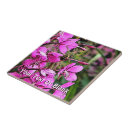 Search for nice tiles Pink