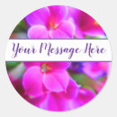 Search for bright flower stickers Thank you