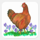Search for red chicken stickers Rhode island red