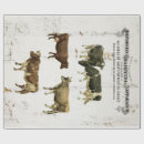 Search for dairy wrapping paper Milk