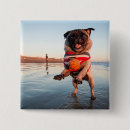Search for animal beach badges Pug
