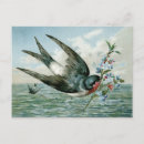 Search for vintage bird illustration postcards Retro