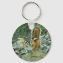 Search for chipmunk key rings Wildlife