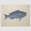 Search for fish tissue paper Masculine