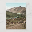 Search for 1898 postcards Vintage