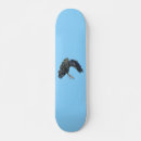 Search for raven skateboards Norse