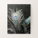 Search for peacock feathers puzzles Peacocks