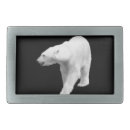 Search for bear belt buckles animal