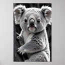 Search for adorable koala posters Wildlife