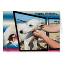 Search for whippet cards Animal