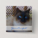 Search for blue eyes badges Kitty