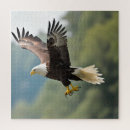 Search for eagle puzzles Bird