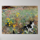 Search for flowery posters Cat