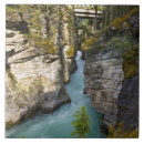 Search for national park tiles Alberta