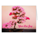 Search for bonsai tree cards Photography