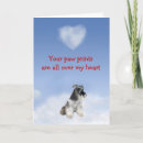 Search for miniature schnauzer dog cards Dogs