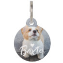 Search for photo pet tags Birthday