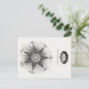 Search for vintage astrology postcards Star