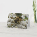 Search for honeybees cards Garden