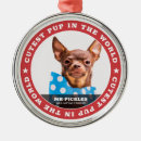 Search for pup christmas tree decorations Dog