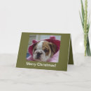 Search for english bulldog christmas cards Cute