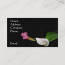 Search for callas photography Garden