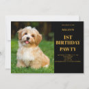 Search for dog photo invitations Dogs