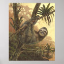 Search for three toed posters Slow