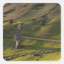 Search for rapa nui stickers Latin