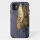 Search for cute seal iphone cases California