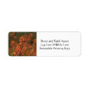 Search for agave return address labels Botanical