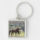 Search for grazing key rings Standing
