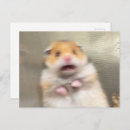 Search for hamster postcards Guinea pig