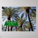 Search for palm springs posters Travel