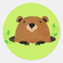 Search for woodchucks stickers Cute