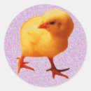 Search for hatch stickers Yellow