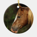 Search for appaloosa horse christmas tree decorations Headshot