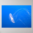 Search for tentacles posters Animals