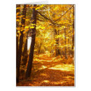 Search for the road not taken Autumn