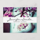 Search for cherry blossom postcards Elegant