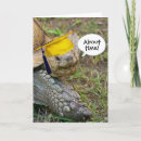 Search for tortoise cards Funny