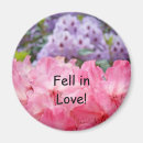 Search for rhododendrons magnets Nature